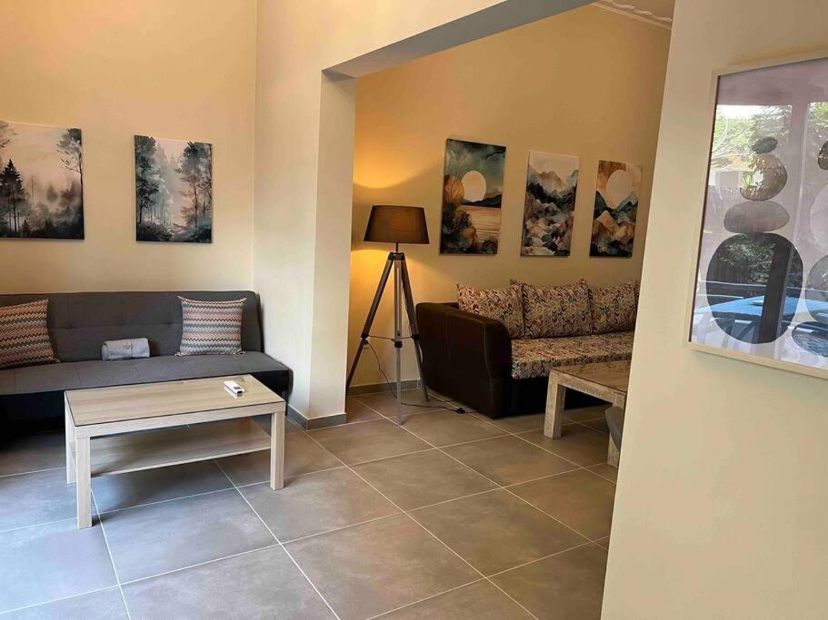 Spacious And Beautiful House Apartment